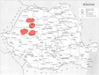 �����-������-�������