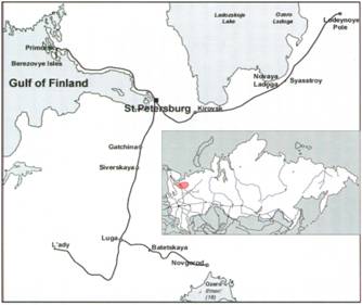 ����������