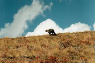 ����������