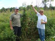 ����������