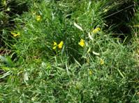 ����������