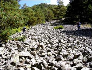 ����������