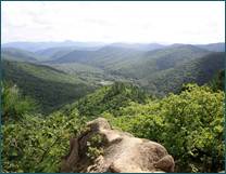 ��������: 1548����� � �����������26