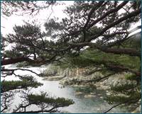 ��������: DSCN2407