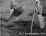 Harwesting of hemp in Russia, 1929